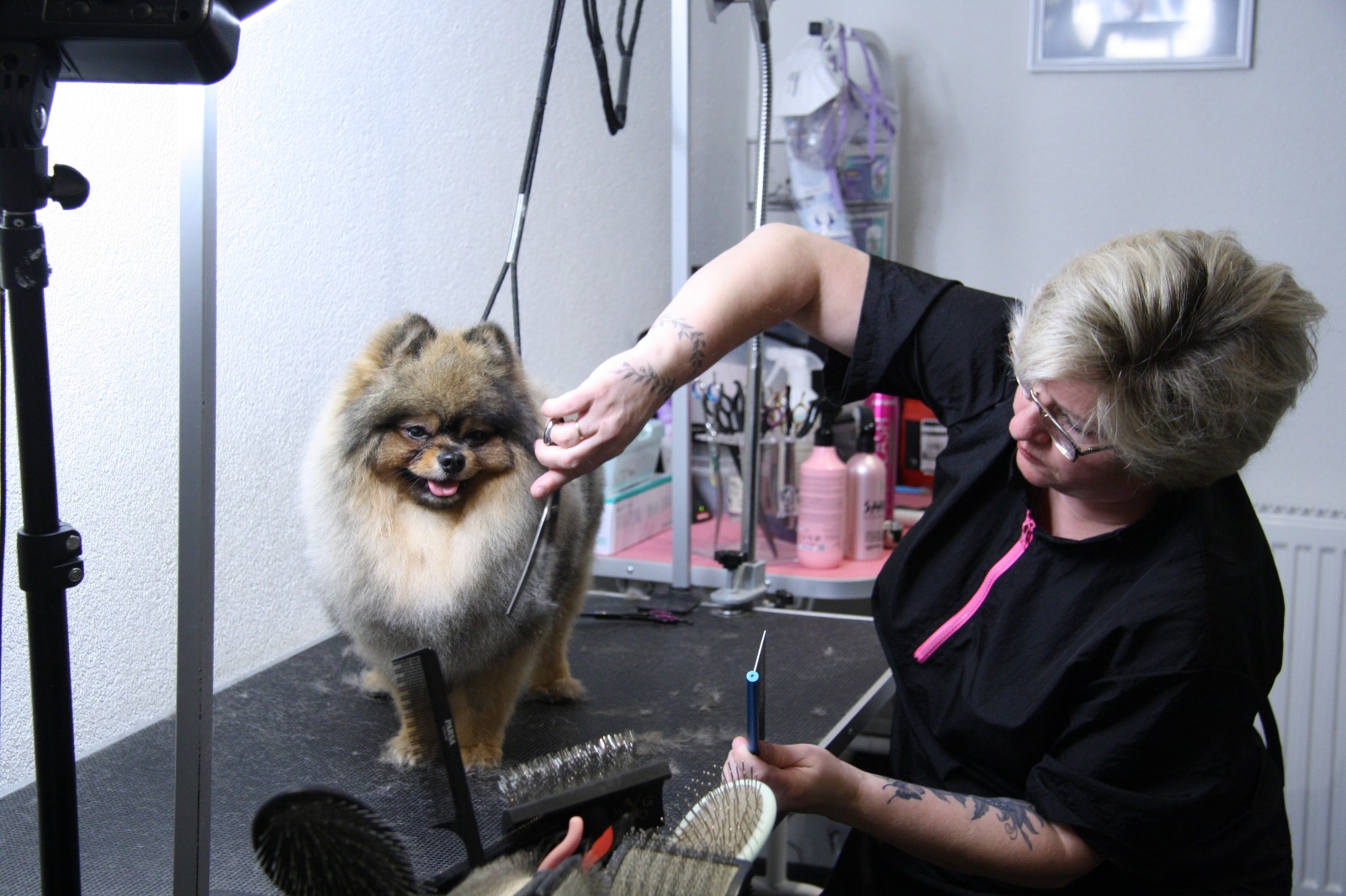 Galerie 2 - Hundesalon Luna